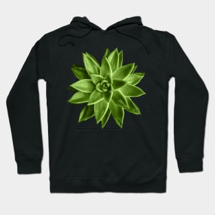 Greenery succulent Echeveria agavoides flower Hoodie